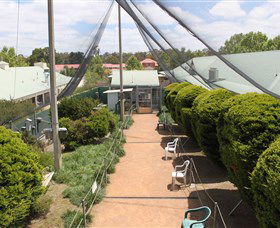 Canberra Walk In Aviary - Accommodation in Surfers Paradise 2