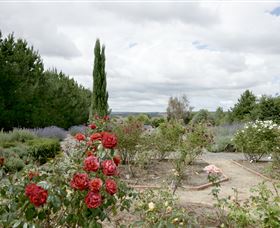 Capital Country NSW Accommodation in Surfers Paradise