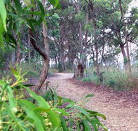 Mount Mutton Walking Trail - Accommodation in Surfers Paradise