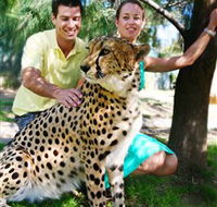 National Zoo  Aquarium - Accommodation in Surfers Paradise
