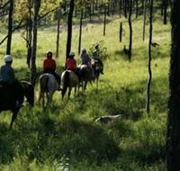 Hunter Valley Horse Riding and Adventures - Accommodation in Surfers Paradise