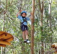 TreeTops Newcastle - Accommodation in Surfers Paradise