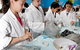 Australian Nuclear Science And Technology Organisation - thumb 1