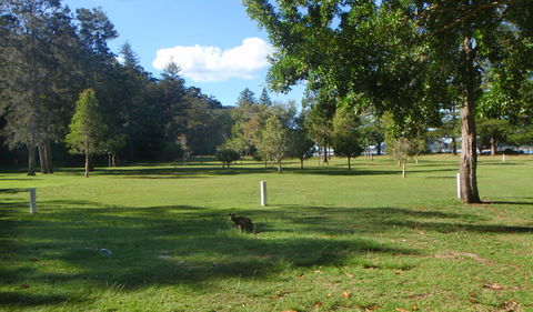 The Basin Picnic Area - Accommodation in Surfers Paradise 1