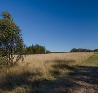 Scheyville horse riding trails - Accommodation in Surfers Paradise