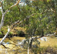 Quilberry Creek Fishing - Accommodation in Surfers Paradise