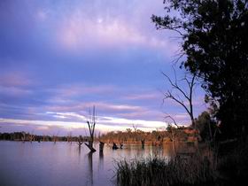 The Riverland And Murraylands SA Accommodation in Surfers Paradise