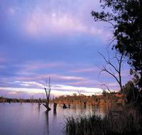Loch Luna Game Reserve and Moorook Game Reserve - Accommodation in Surfers Paradise