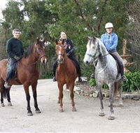 Academy of Dressage - Accommodation in Surfers Paradise