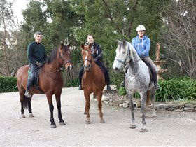 Academy Of Dressage - Accommodation in Surfers Paradise 0