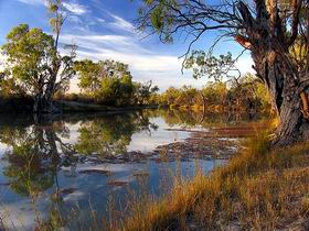 Murray River National Park - Accommodation in Surfers Paradise 0