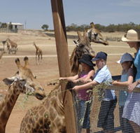 Monarto Open Range Zoo - Accommodation in Surfers Paradise