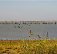 Lake Victoria - Accommodation in Surfers Paradise