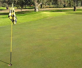 Wentworth Sporting Complex - Accommodation in Surfers Paradise 0