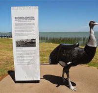 Birdman of the Coorong - Accommodation in Surfers Paradise