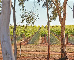 Trentham Estate Winery - Accommodation in Surfers Paradise 4
