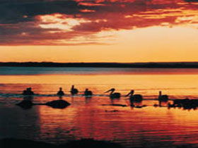 Coorong National Park - Accommodation in Surfers Paradise 1