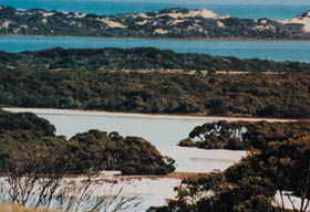 Coorong National Park - Accommodation in Surfers Paradise 2