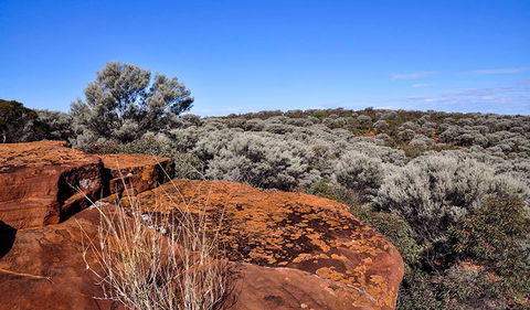 Mount Grenfell Historic Site - Accommodation in Surfers Paradise 0