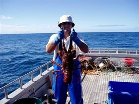 Lacepede Seafood - Accommodation in Surfers Paradise 2