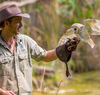 Territory Wildlife Park - Accommodation in Surfers Paradise