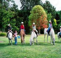 Limestone Coast Horseriding - Accommodation in Surfers Paradise