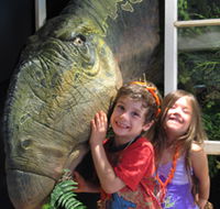 Australian Opal Centre - Accommodation in Surfers Paradise