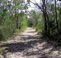 Lanky's Walk - Accommodation in Surfers Paradise