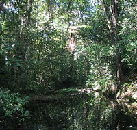 Misty Mountains Wilderness Walking Tracks - Accommodation in Surfers Paradise