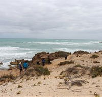 The Seaview Walking Trail - Accommodation in Surfers Paradise