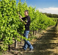 Patrick of Coonawarra - Accommodation in Surfers Paradise