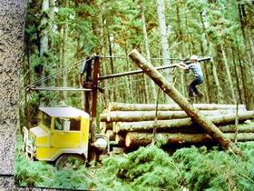 Nangwarry Forestry And Logging Museum - Accommodation in Surfers Paradise 3