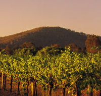Taltarni Vineyards - Accommodation in Surfers Paradise