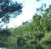 Crawford River Regional Park - Accommodation in Surfers Paradise