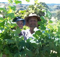 Wimmera Hills Winery - Accommodation in Surfers Paradise