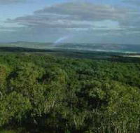 Mount Richmond National Park - Accommodation in Surfers Paradise