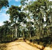 Paddys Ranges State Park - Accommodation in Surfers Paradise
