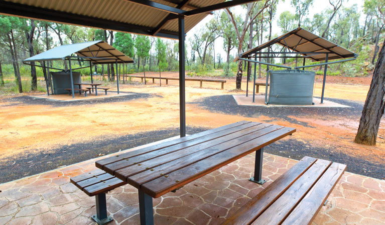 The Pilliga NSW Accommodation in Surfers Paradise