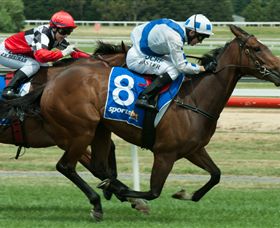 Ballarat Turf Club - Accommodation in Surfers Paradise 3