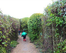 The Tangled Maze & Mistydowns Nursery - Accommodation in Surfers Paradise 1