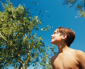 Bushwalking On Keswick Island - Accommodation in Surfers Paradise 0