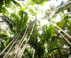 Bushwalking On Keswick Island - Accommodation in Surfers Paradise 1