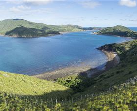 The Cremer Shipwreck Dive Site - Keswick Island - Accommodation in Surfers Paradise 0