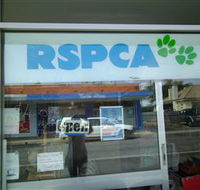 R.S.P.C.A Opportunity Shop - Accommodation in Surfers Paradise