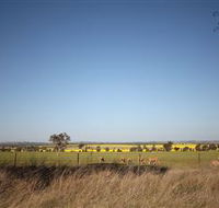 Cootamundra Bird Walk - Accommodation in Surfers Paradise