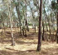 Chiltern-Mt Pilot National Park - Accommodation in Surfers Paradise