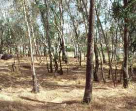 Chiltern-Mt Pilot National Park - Accommodation in Surfers Paradise 0