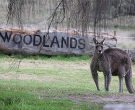 Living Legends: The International Home Of Rest For Champion Horses - Accommodation in Surfers Paradise 1