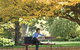 Albury Botanic Gardens - thumb 2