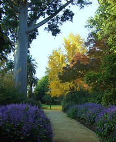 Albury Botanic Gardens - Accommodation in Surfers Paradise 4